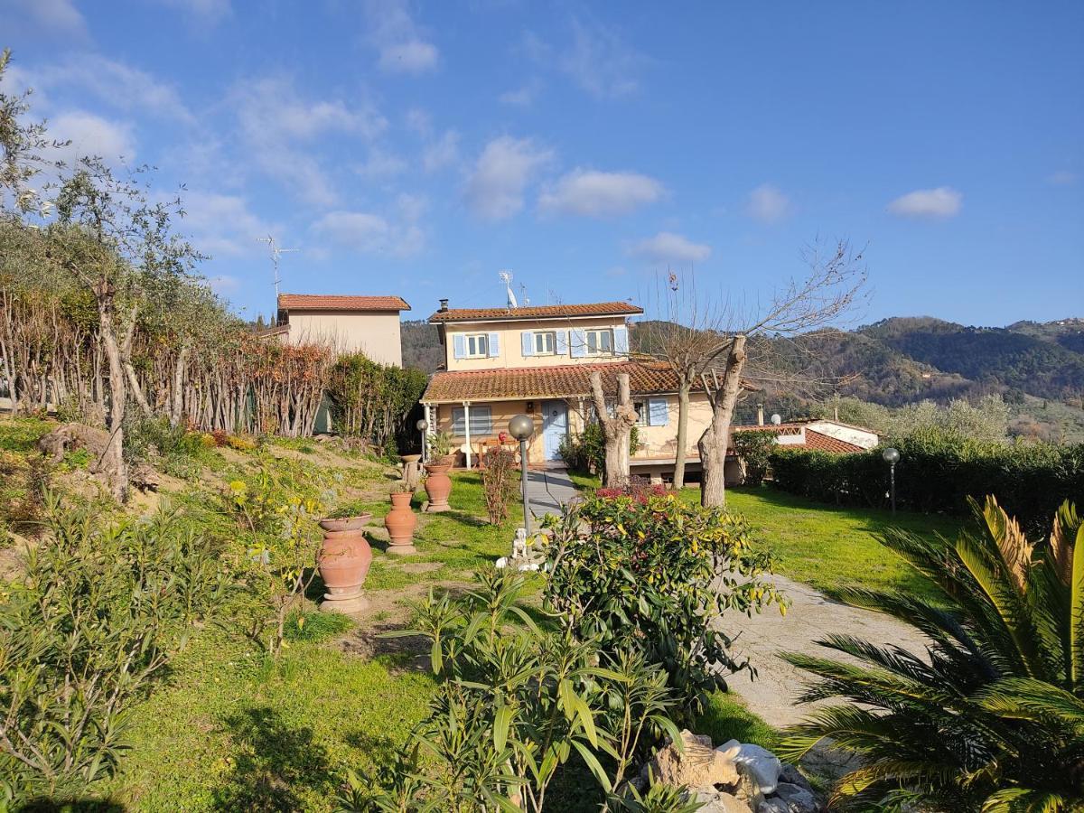 Villa La Tana Del Geco Massarosa Exterior foto