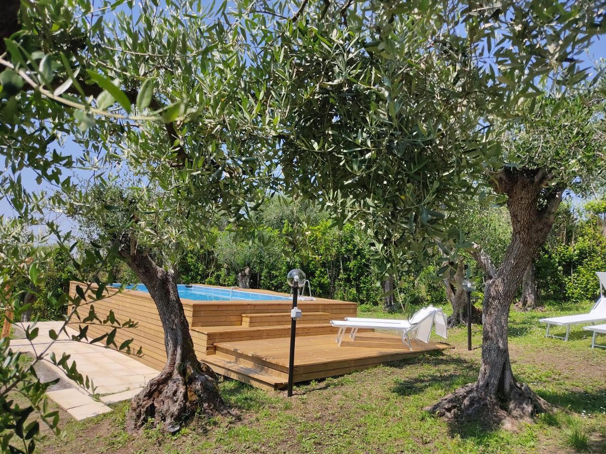 Villa La Tana Del Geco Massarosa Exterior foto