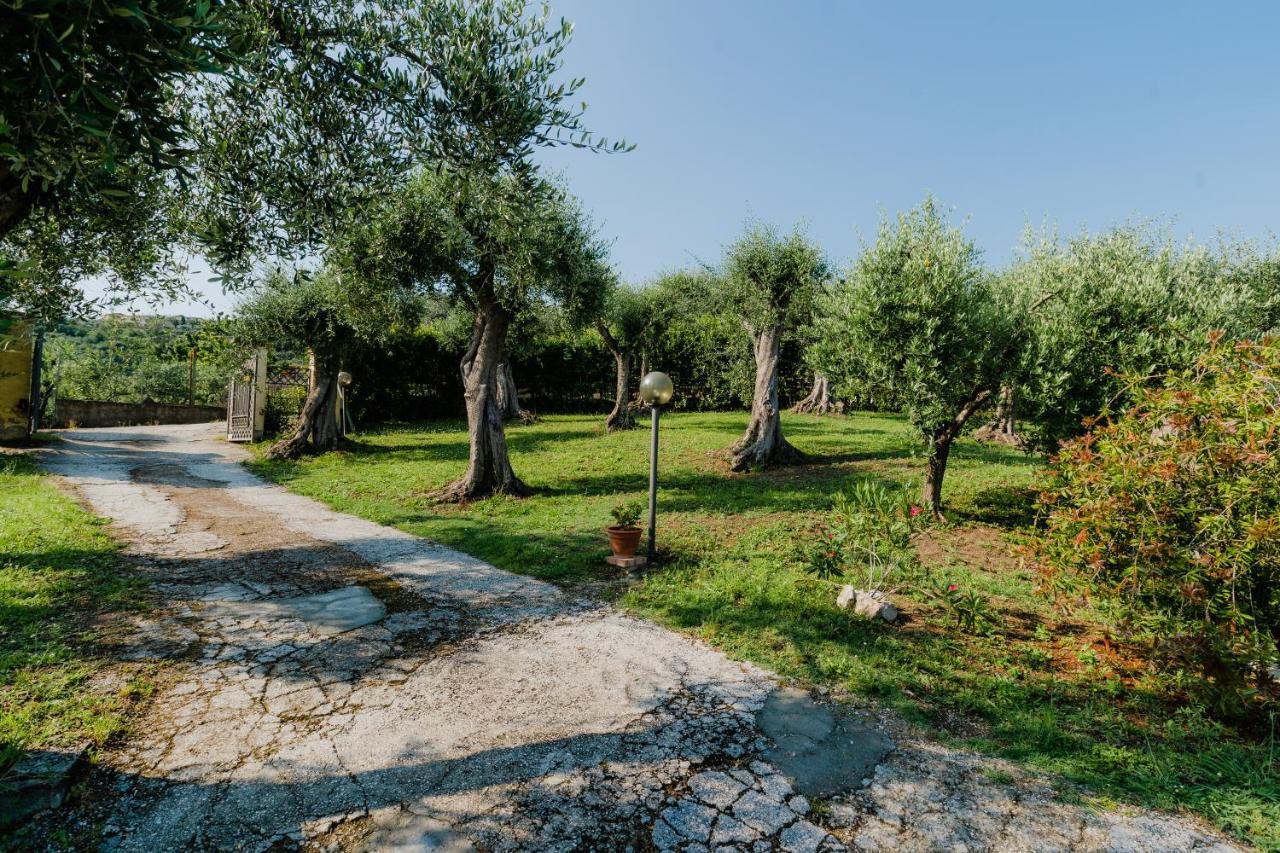 Villa La Tana Del Geco Massarosa Exterior foto
