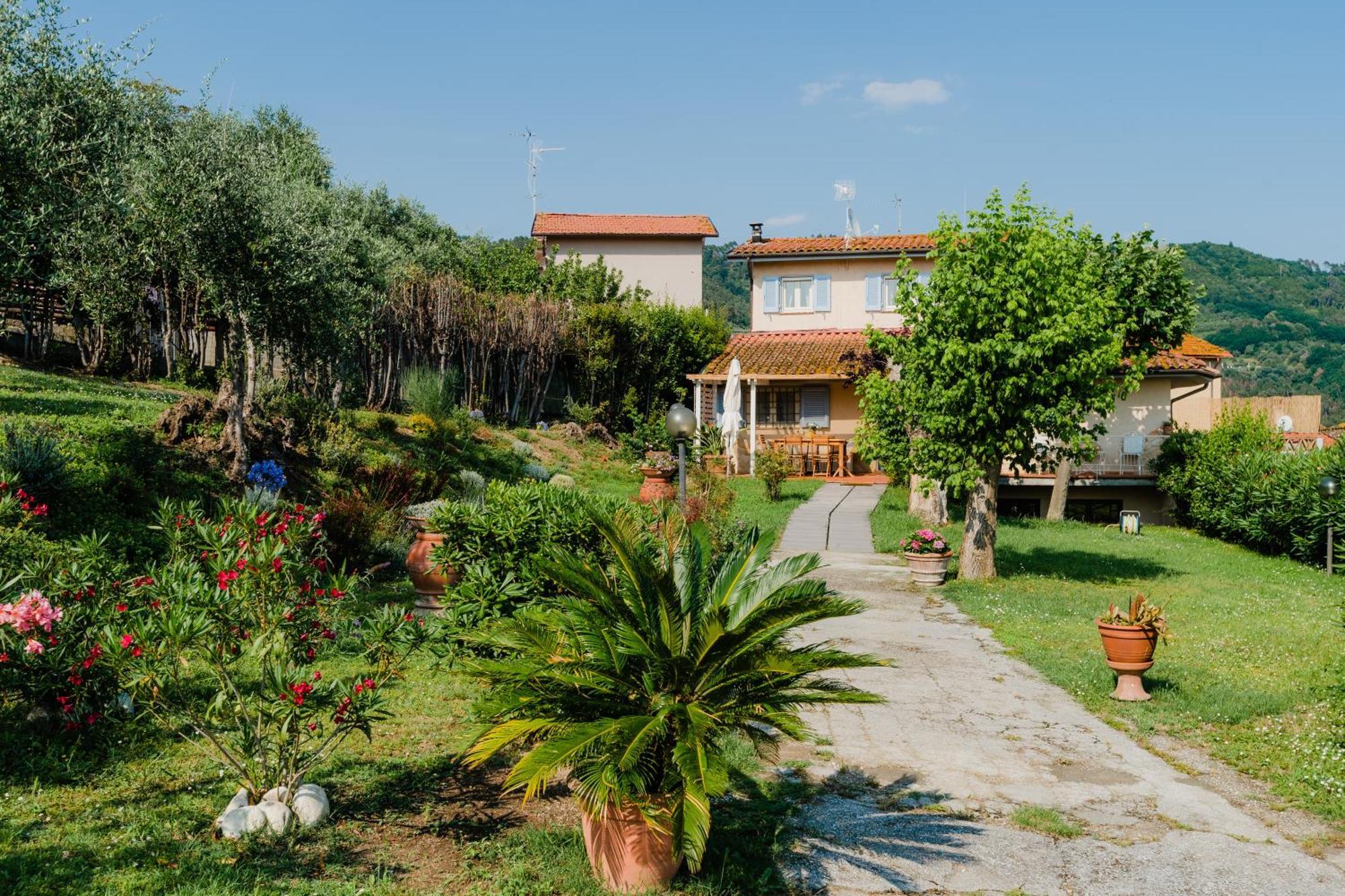 Villa La Tana Del Geco Massarosa Exterior foto